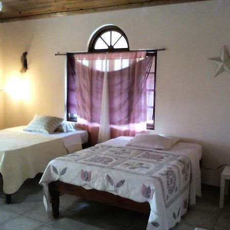Dolphin Bay Yoga Guest House Drapers Zewnętrze zdjęcie
