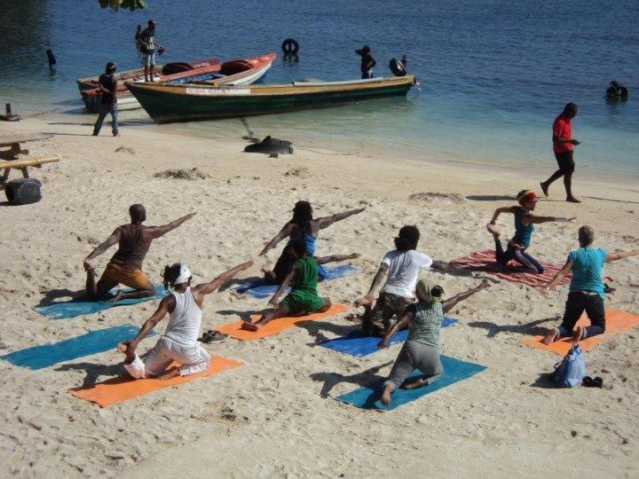 Dolphin Bay Yoga Guest House Drapers Zewnętrze zdjęcie